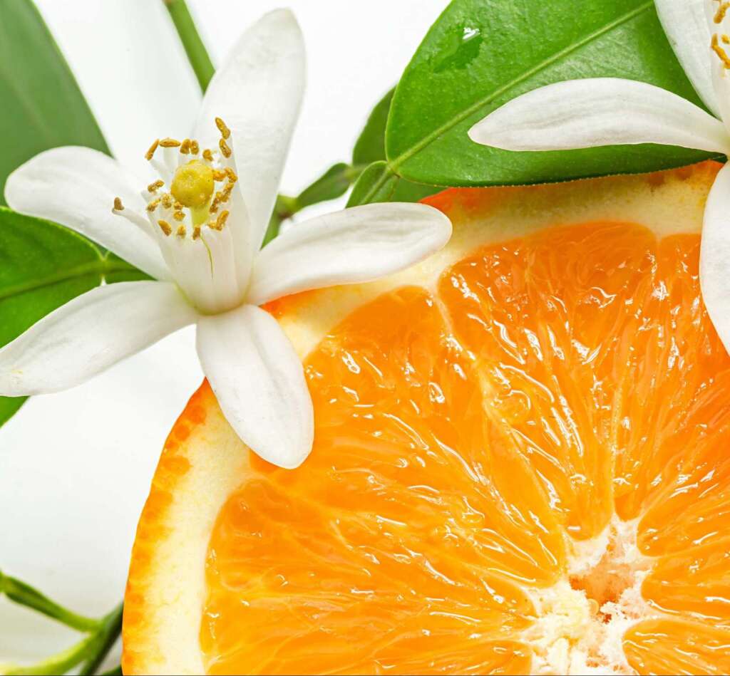 Fragrance Citrus Blossom American Candle Supplies