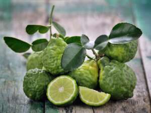 Fragrance:  Bergamot