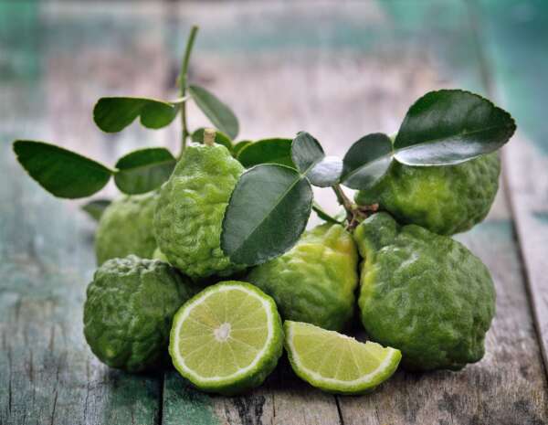 Fragrance:  Bergamot