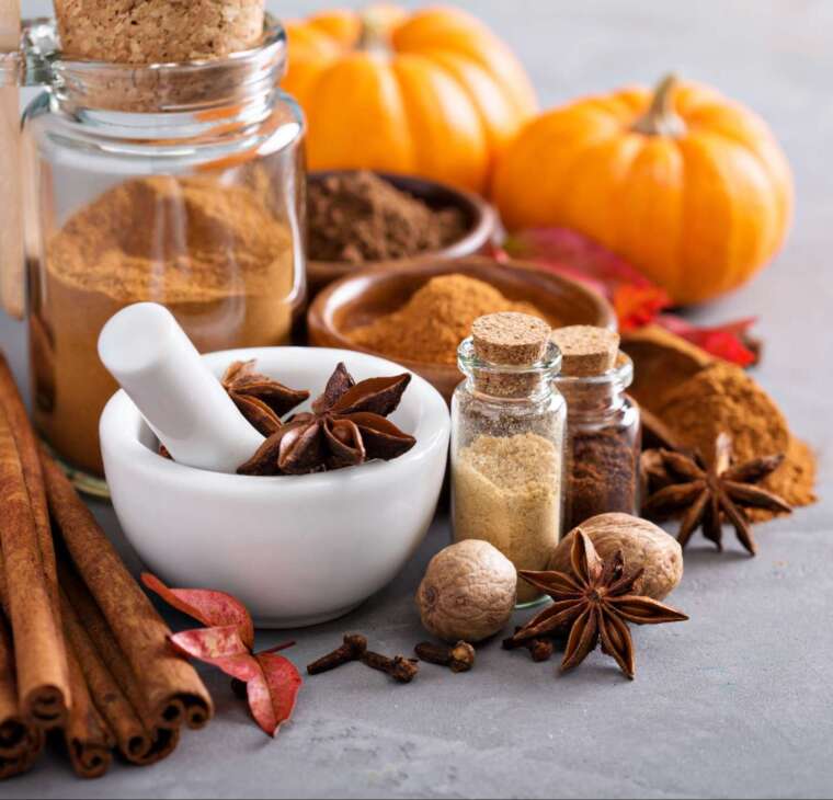 Fragrance Pumpkin Spice American Candle Supplies