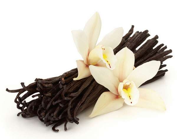 Fragrance:  French Vanilla