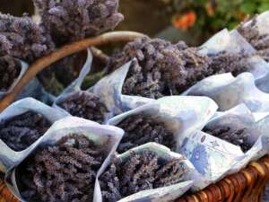 French Market  Fragrance Oil