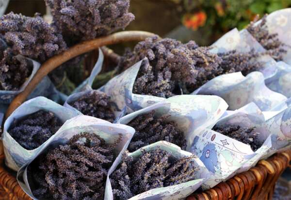 French Market  Fragrance Oil