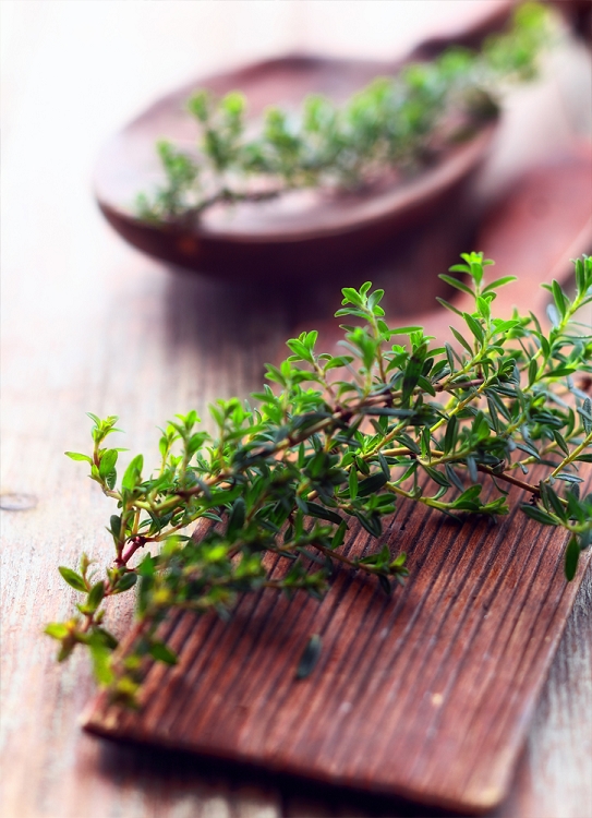 French Thyme  Fragrance Oil