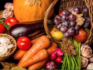 Harvest Fragrance Oil