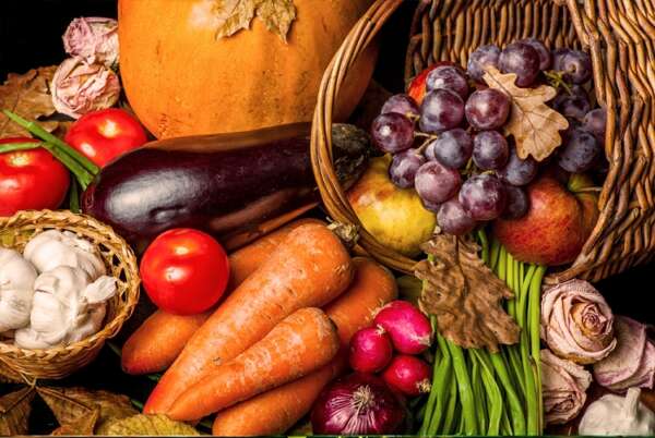 Harvest Fragrance Oil