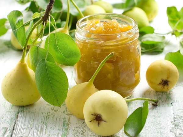 Honeysuckle & Pear  Fragrance Oil