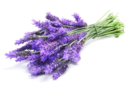 Fragrance:  Lavender