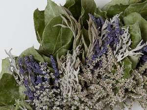 Fragrance:  Lavender Sage